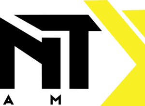 Lmnt team logo, with flying b