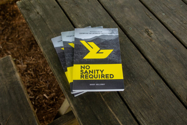 No sanity required book